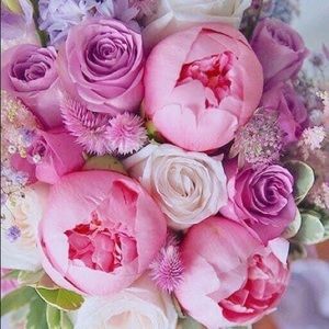 Meet your Posher, Dara